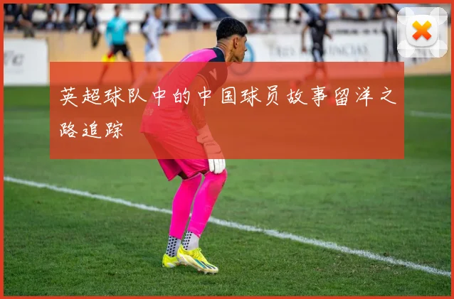 英超球队中的中国球员故事留洋之路追踪