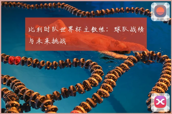 比利时队世界杯主教练：球队战绩与未来挑战